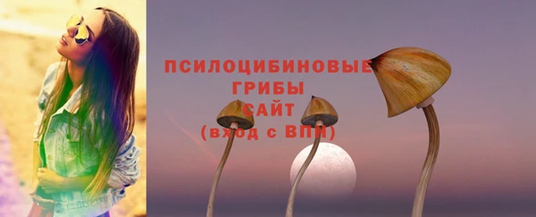 спайс Арсеньев