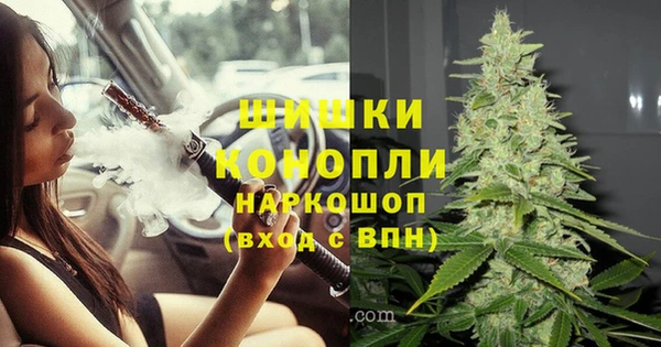 дживик Аркадак