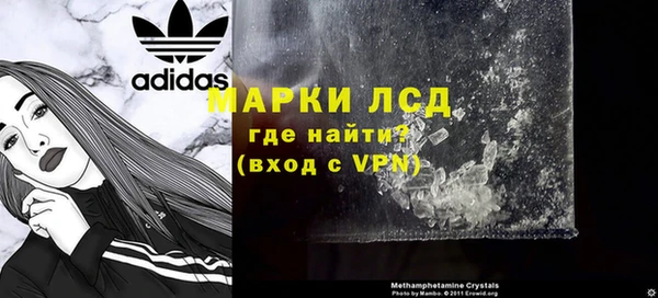 спайс Арсеньев