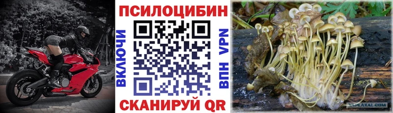 ОМГ ОМГ онион  Асино  Галлюциногенные грибы мицелий 