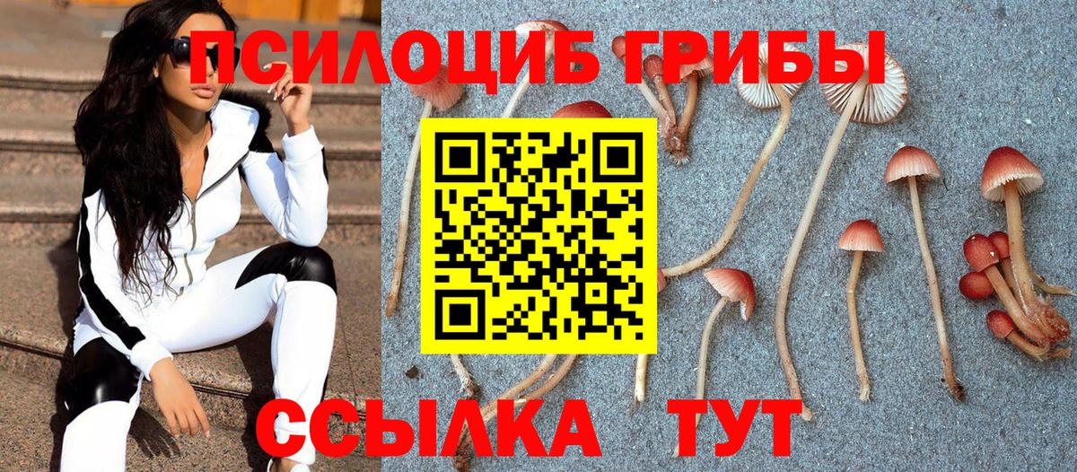 Псилоцибиновые грибы ЛСД  Вход с VPN  Асино  Галлюциногенные грибы Cubensis 
