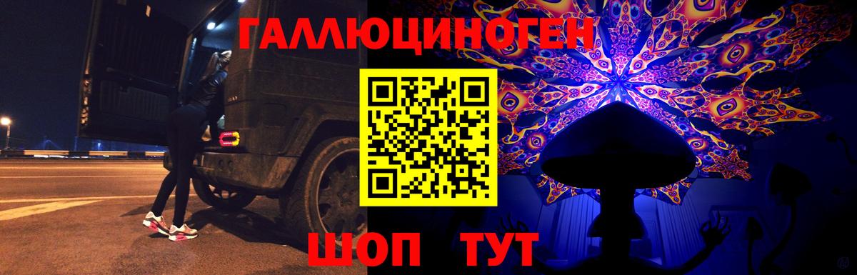 Галлюциногенные грибы Psilocybe  Асино 