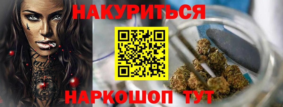 Конопля гибрид Асино